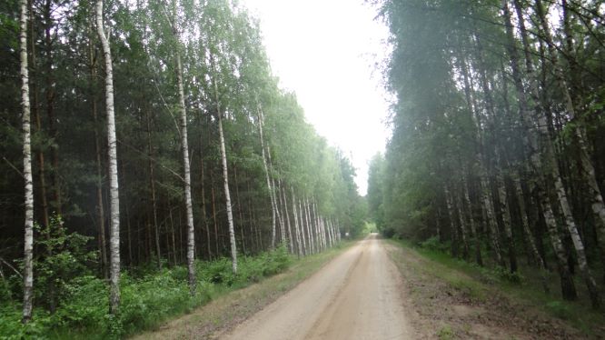 Regulamin korzystania z dróg leśnych udostępnionych do ruchu