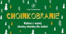 Choinkobranie 2024! Wybierz i wytnij idealną choinkę dla siebie.